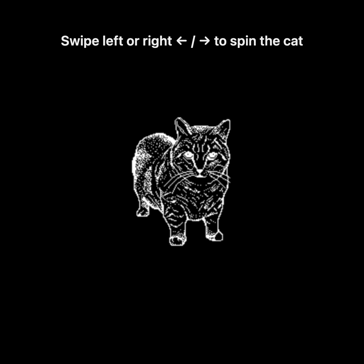 OIIA Cat Spinner running on the Meta Ray-Ban Display